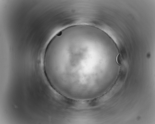 X0000102391101200808151915