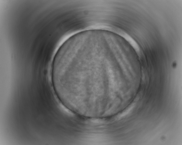 X0000102391102200808151915