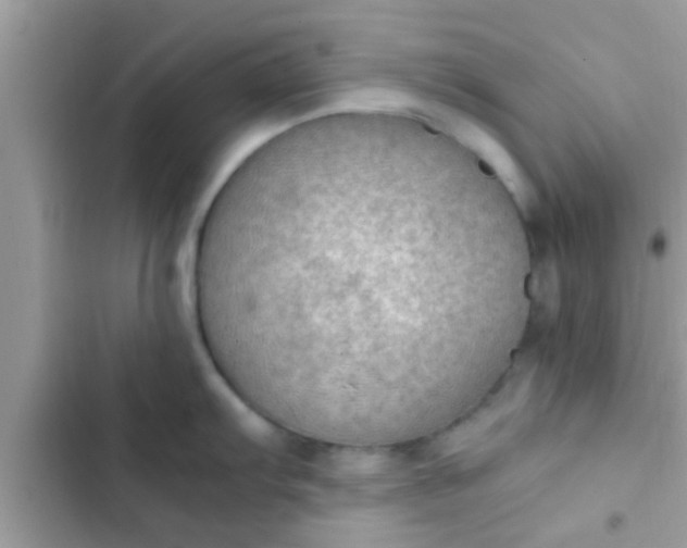 X0000102391103200808151915