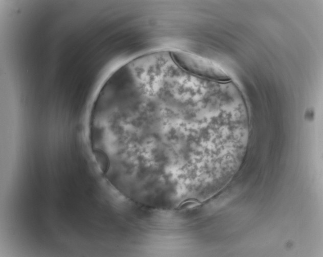 X0000102391104200808151915