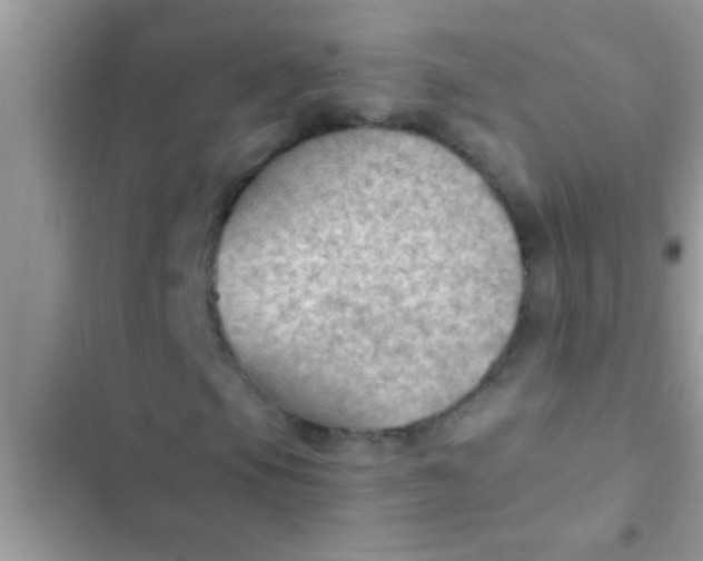 X0000102391105200808151914