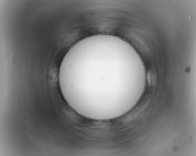 X0000102391107200808151914