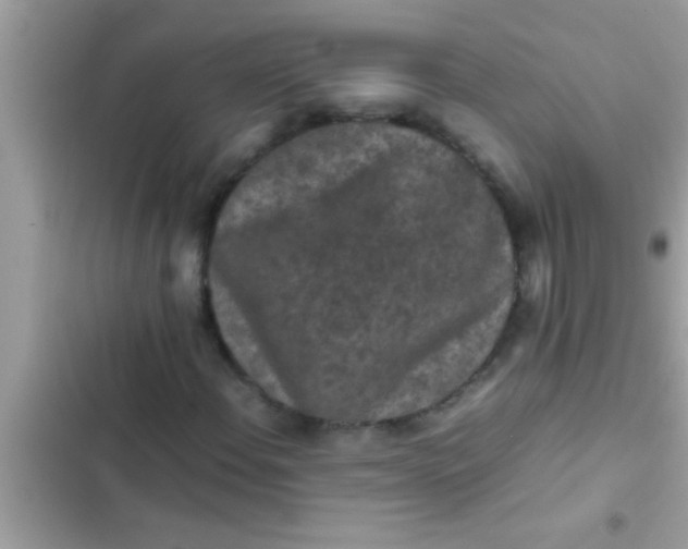 X0000102391108200808151914