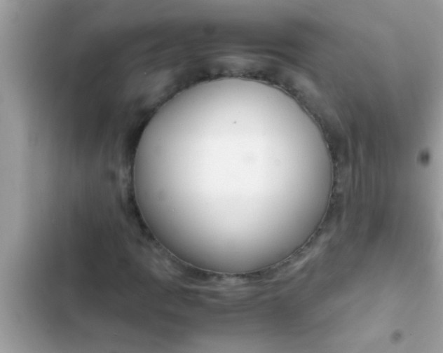 X0000102391109200808151914