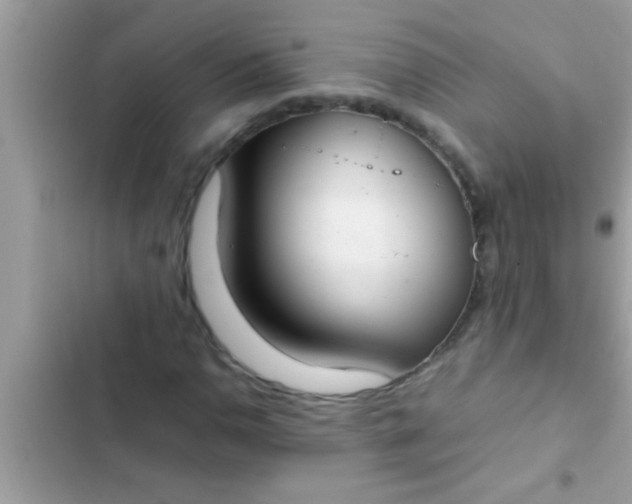 X0000102391110200808151914