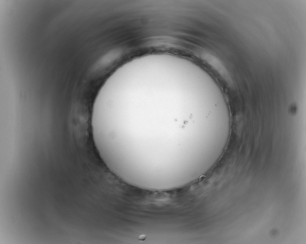 X0000102391111200808151914