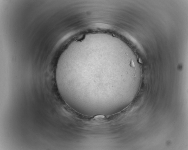 X0000102391112200808151914