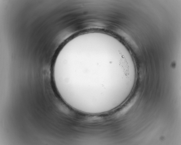 X0000102391113200808151914