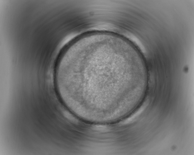 X0000102391114200808151914