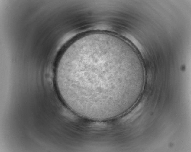 X0000102391115200808151914