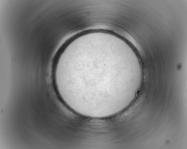 X0000102391116200808151914