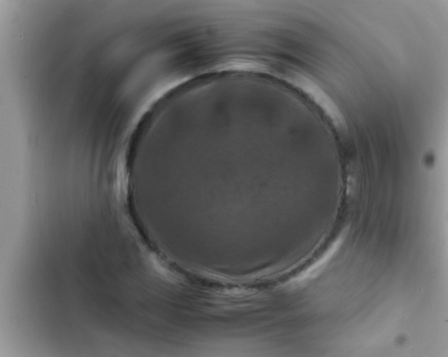 X0000102391117200808151914