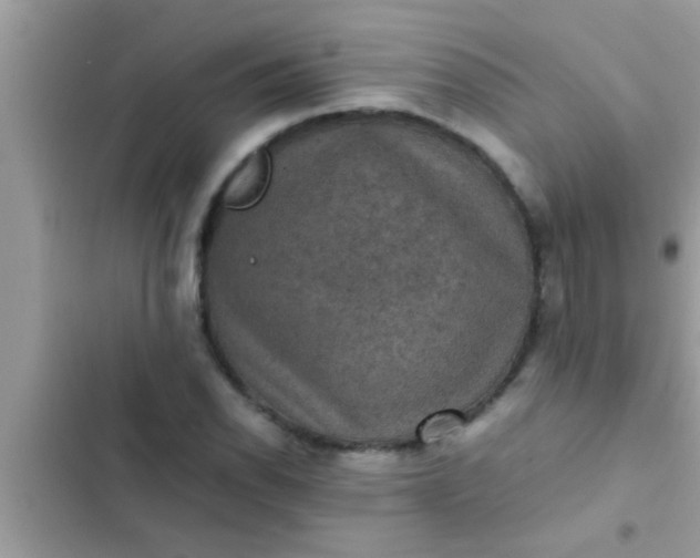 X0000102391118200808151914