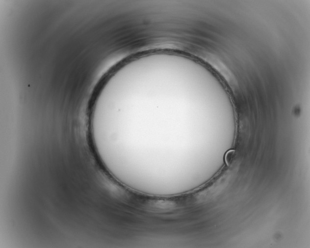 X0000102391119200808151914