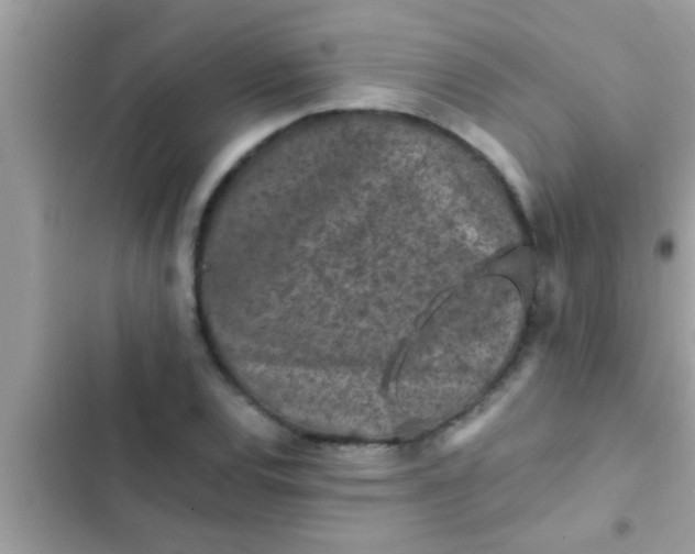 X0000102391120200808151914