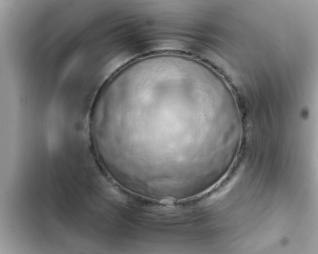 X0000102391121200808151914