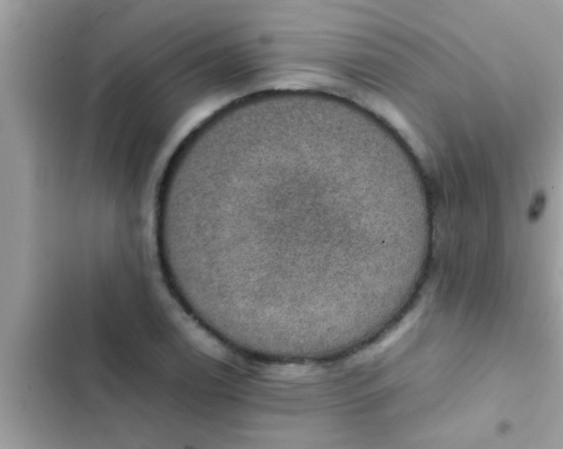 X0000102391122200808151914