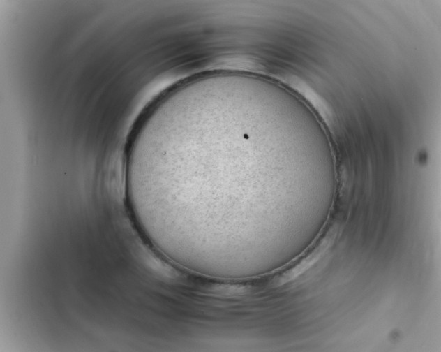 X0000102391123200808151914