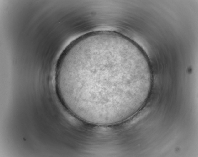 X0000102391124200808151914