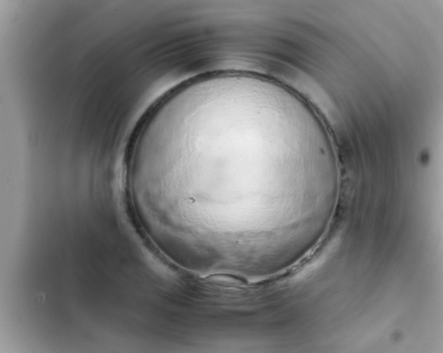 X0000102391125200808151914