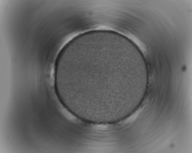 X0000102391126200808151914