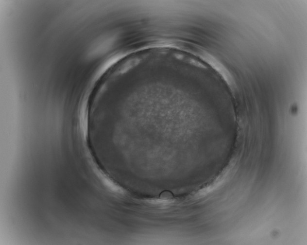 X0000102391127200808151914