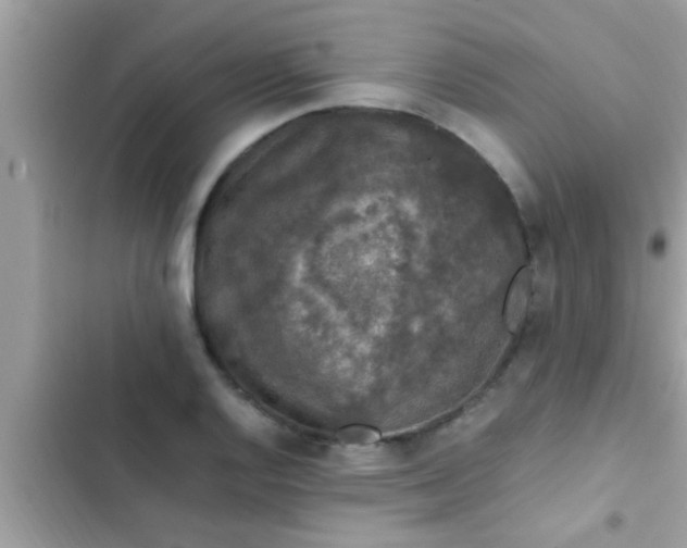 X0000102391128200808151914