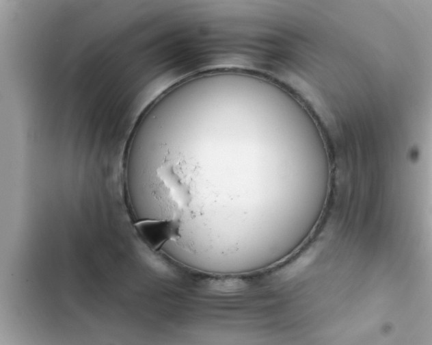 X0000102391129200808151914