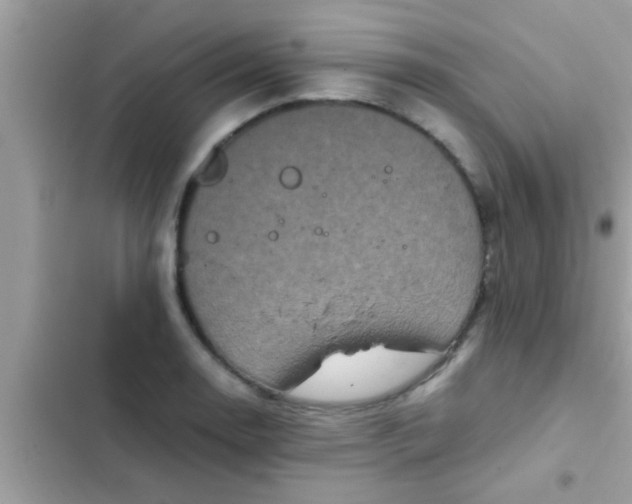 X0000102391130200808151914