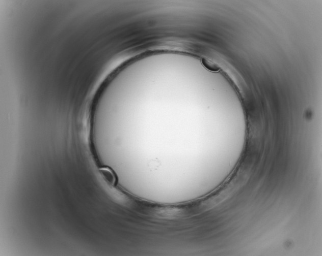 X0000102391131200808151914