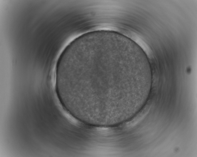 X0000102391132200808151914