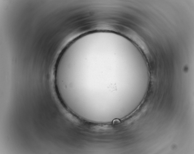 X0000102391133200808151914