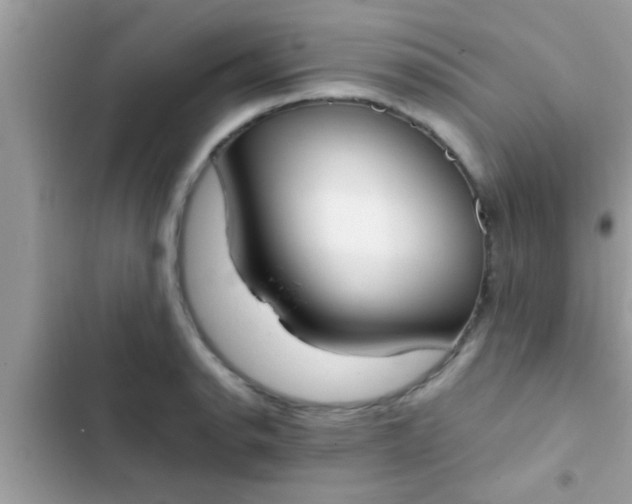 X0000102391134200808151914