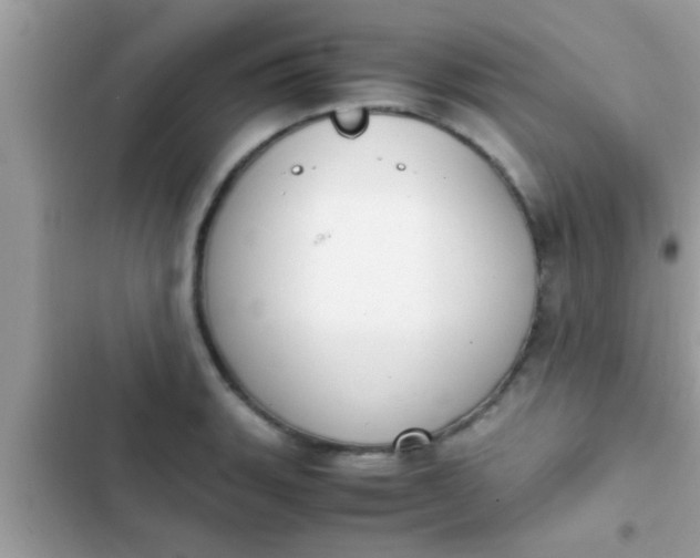 X0000102391135200808151914