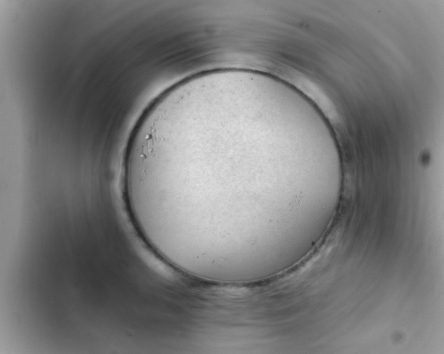 X0000102391136200808151915