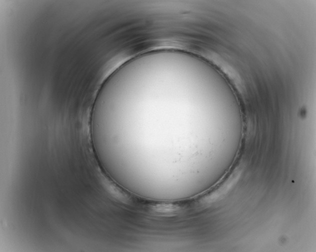 X0000102391137200808151915