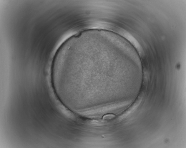 X0000102391138200808151915