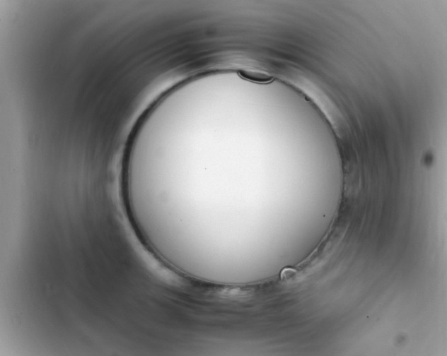 X0000102391139200808151915