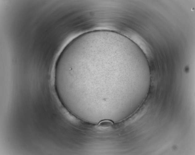 X0000102391140200808151915