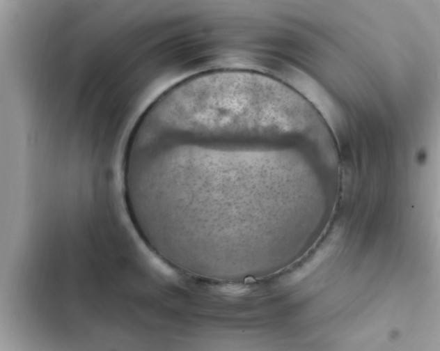 X0000102391141200808151915