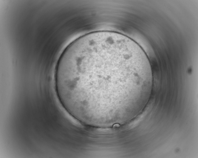 X0000102391142200808151915