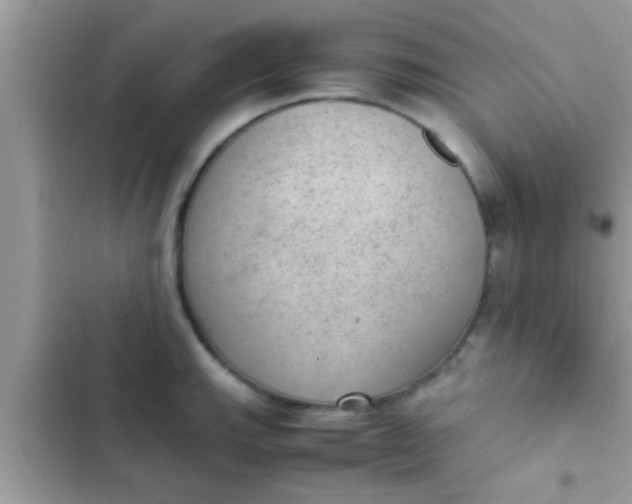 X0000102391143200808151915