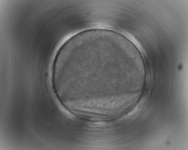 X0000102391144200808151915