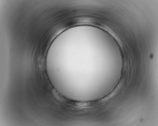 X0000102391145200808151915