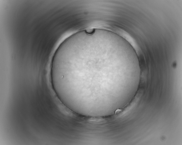 X0000102391146200808151915