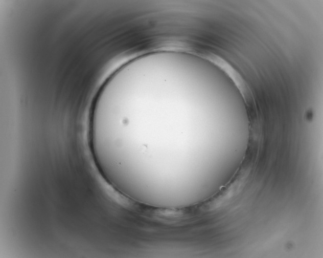 X0000102391147200808151915