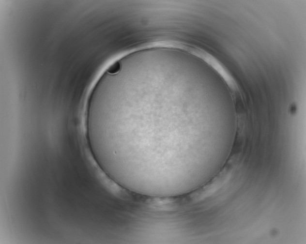 X0000102391148200808151915