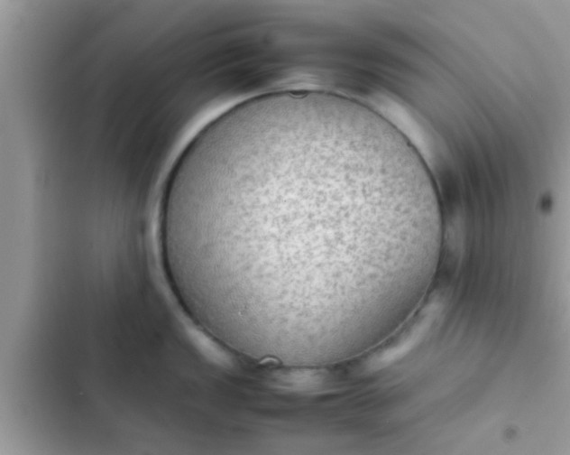 X0000102391149200808151915