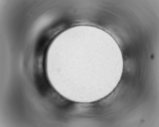 X0000102391150200808151915