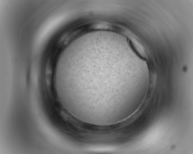 X0000102391151200808151915